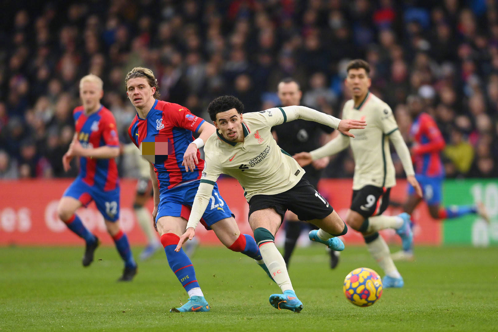 这或许会成 这或许会成