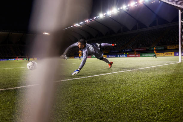 了成功的基 了成功的基